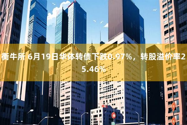 衡牛所 6月19日华体转债下跌0.97%，转股溢价率25.46%