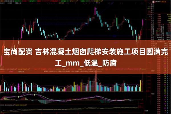 宝尚配资 吉林混凝土烟囱爬梯安装施工项目圆满完工_mm_低温_防腐